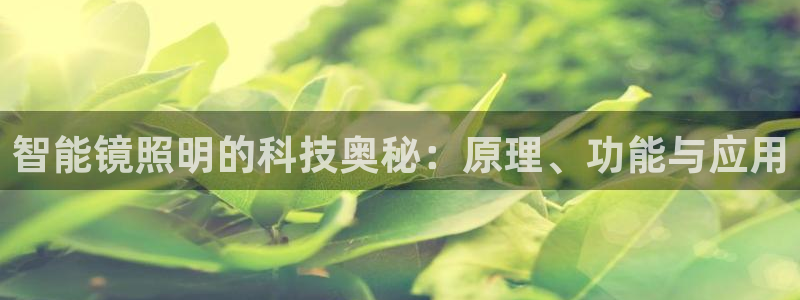 云顶国际集团
