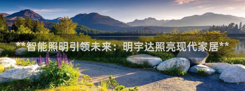 云顶国际平台游戏