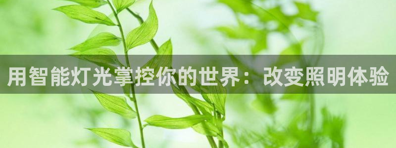 云顶国际提现