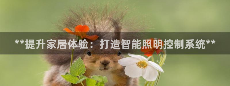 云顶国际装饰设计 宁波