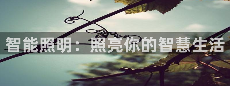 云顶国际服怎么登陆