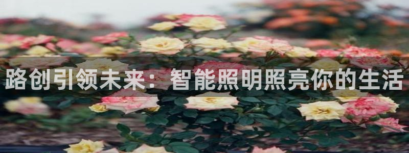 云顶国际app官方网站下载安装