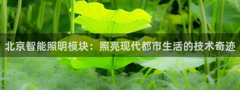 云顶国际部HKDSE