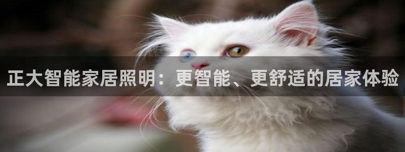 云顶线上赌博