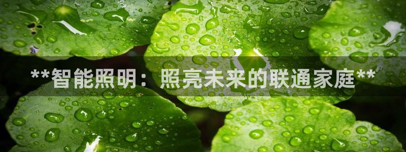云顶国际大酒店位于哪里