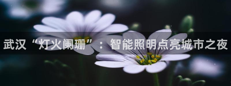 云顶国际服跨区数据