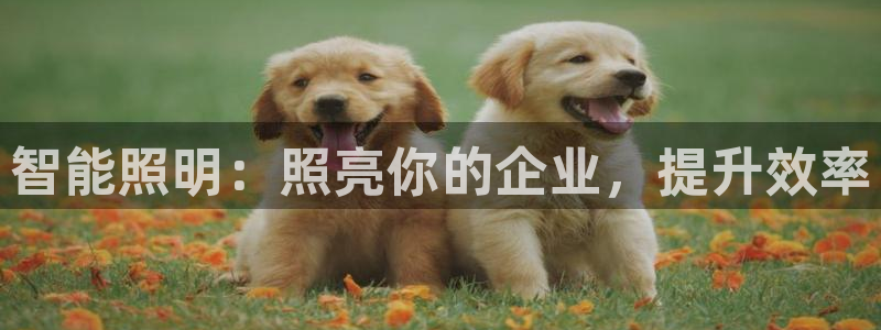 云顶国际酒店位置在哪