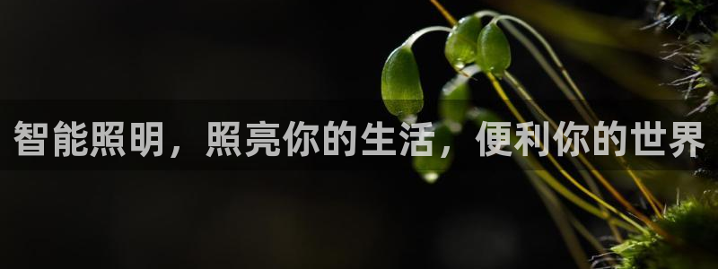 云顶国际滑雪场开放时间