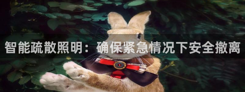 云顶国际平台游戏官网入口