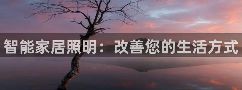 云顶国际物流官网网址