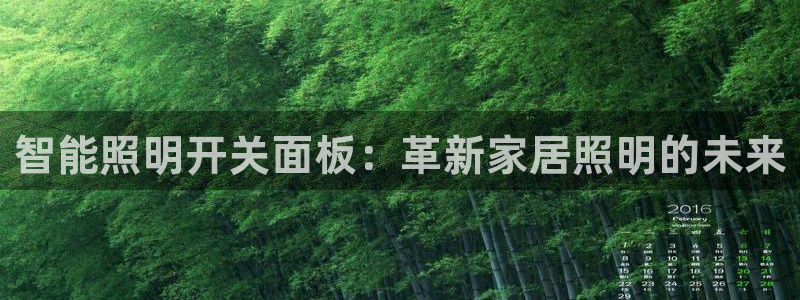 云顶国际百度百科下载