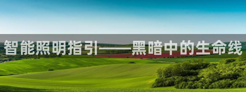 云顶控股集团有限公司