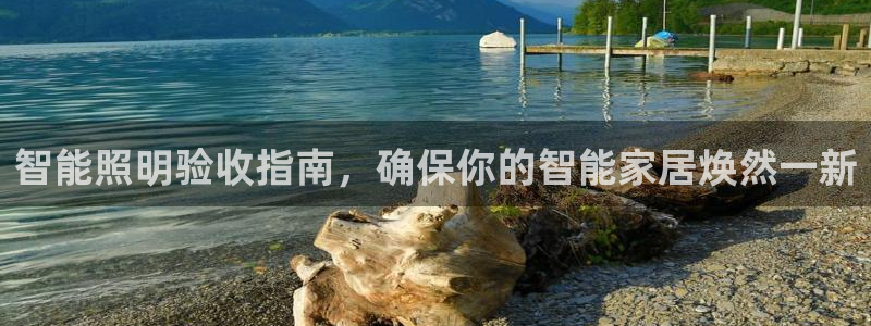 云顶集团董事长林东简历照片