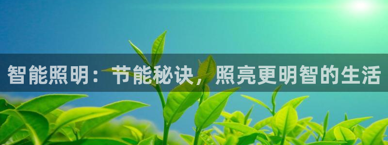 云顶国际pg网站