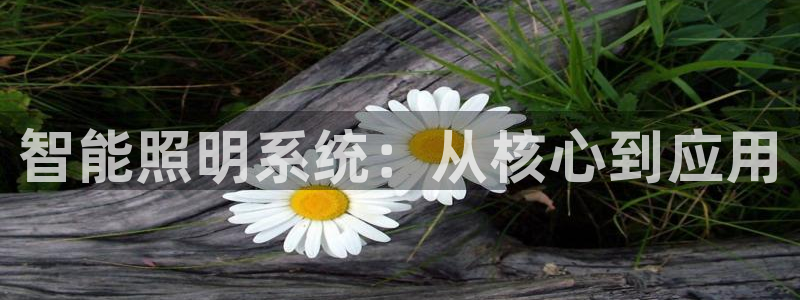 云顶国际商业广场A座101