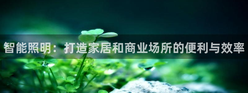 云顶国际版最新版苹果版
