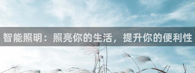 云顶国际酒店几星