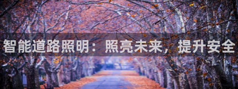 云顶集团游戏app特色
