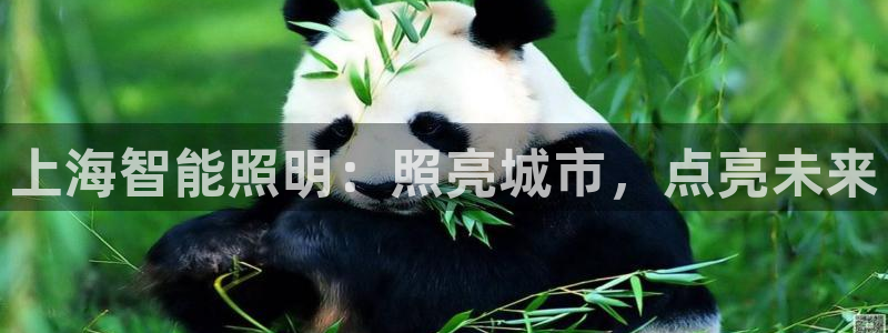 云顶国际yd222线路检测中心