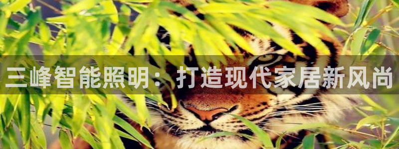 云顶国际app是什么游戏