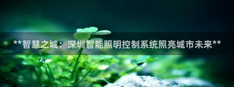 云顶集团网投