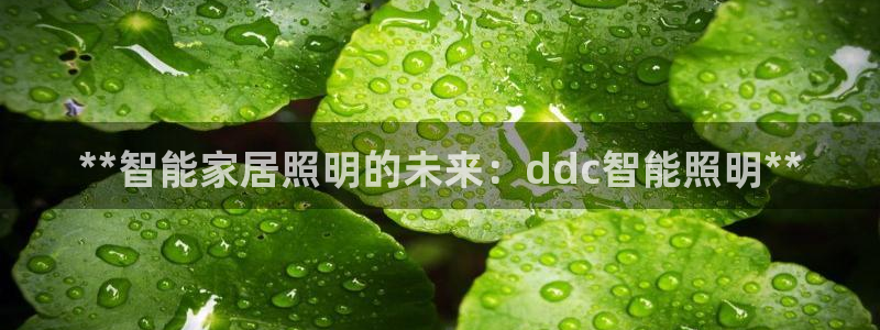 云顶网址攻略