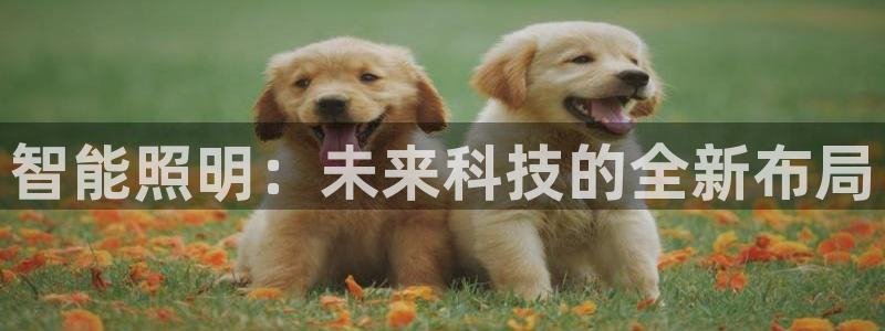 云顶国际在线购彩