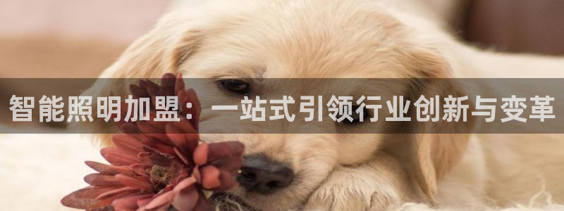 云顶国际商业广场a座101室