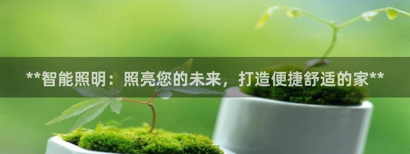 云顶国际商务会所怎么样