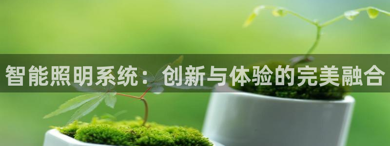 云顶国际ktv