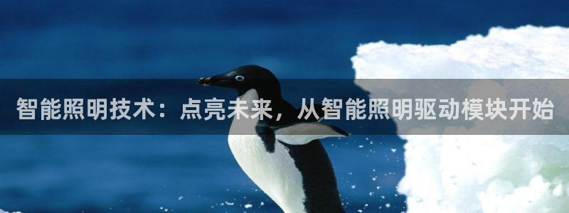 云顶国际中学