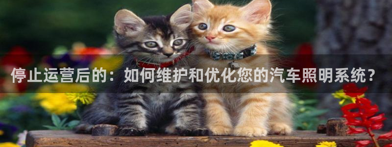 云顶国际商业广场a座101层