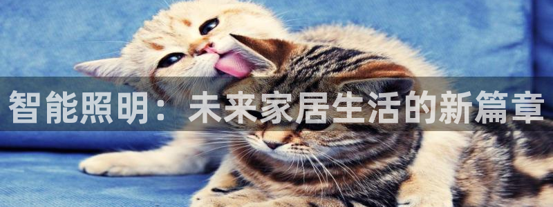 云顶国际电话号码