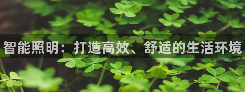 云顶国际服s10