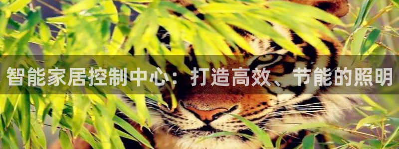 云顶国际服什么时候更新s90