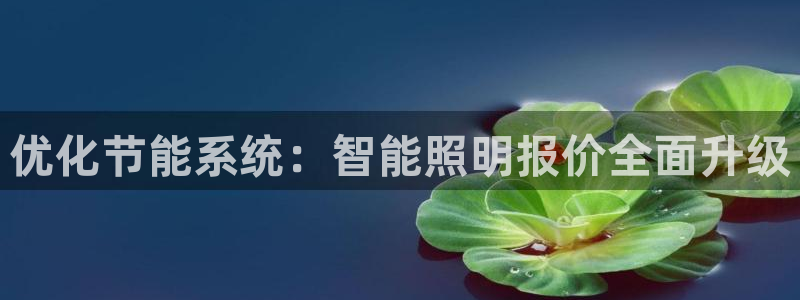 云顶国际老板是谁呀