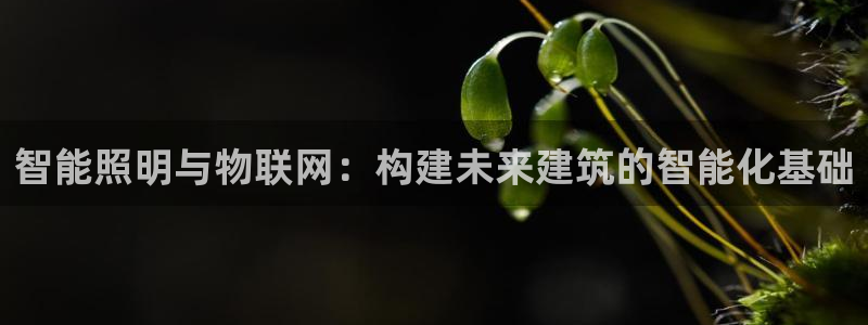 云顶国际大酒店老板