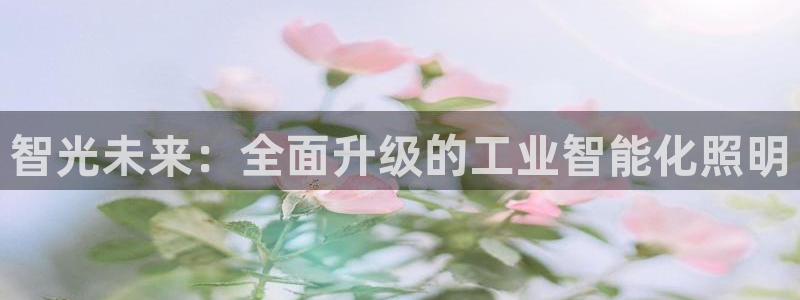 云顶国际版最新版苹果版