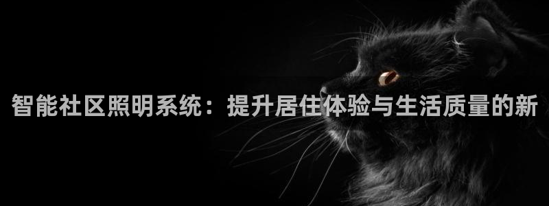 云顶国际app是什么游戏