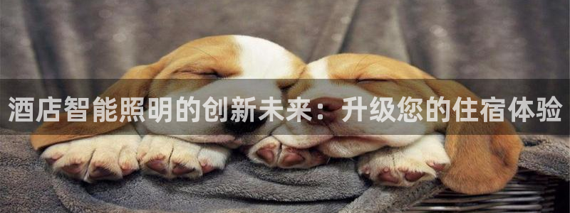 云顶国际公馆在哪个街道