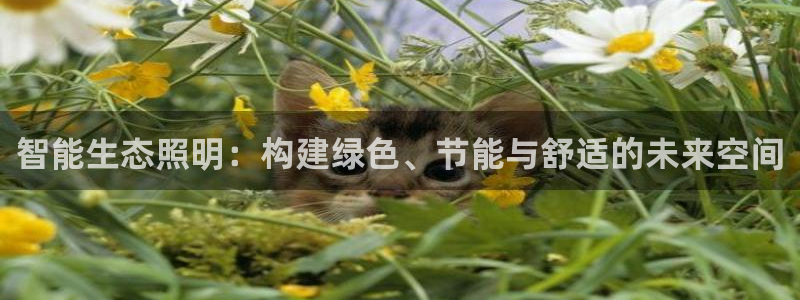 云顶国际晟荣协会